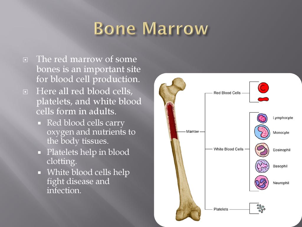 Orthopedic Surgery The branch of medical science concerned with